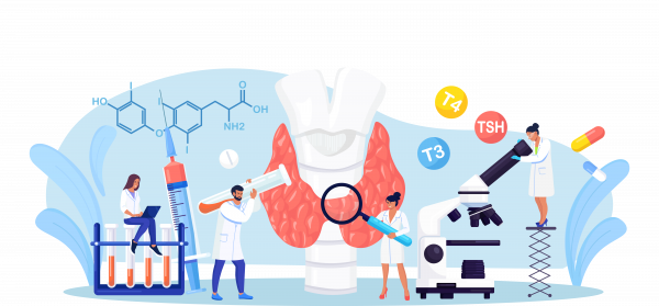 endocrinologie