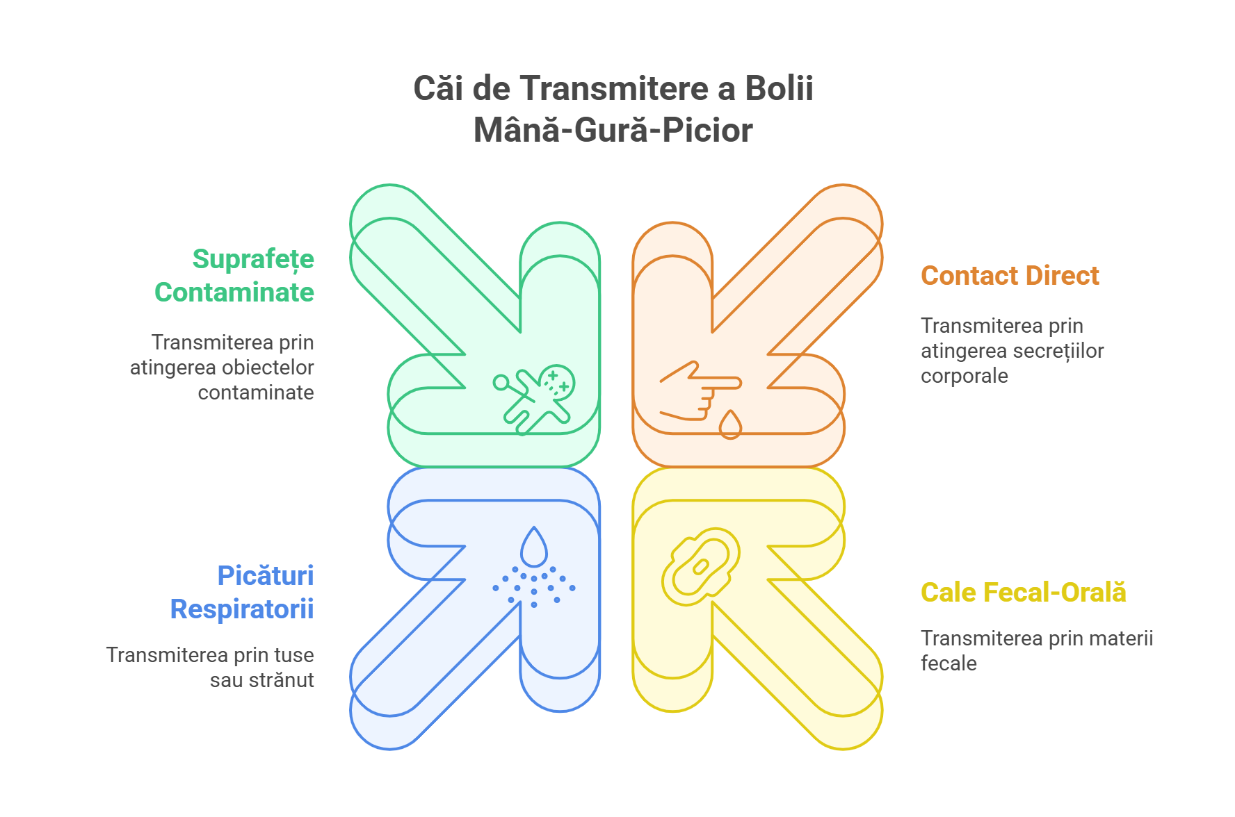 Căi de Transmitere a Bolii Mână-Gură-Picior