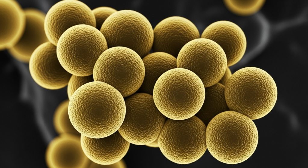 pneumonia stafilococică
