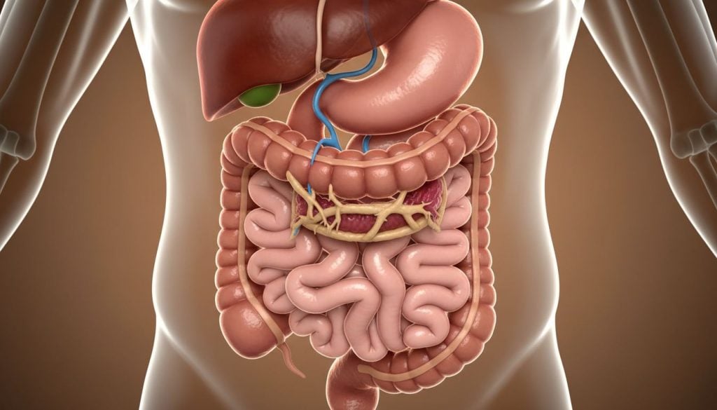 Malrotatia Intestinala
